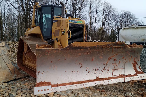 Les modèles de bulls à la 2Sévrienne
